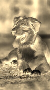 Sepia + Negatyw