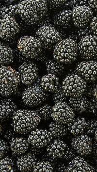 Oryginalny obrazek