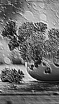 Skamielina