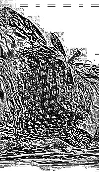 Skamielina