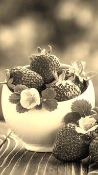 Szary + Sepia