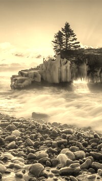 Sepia
