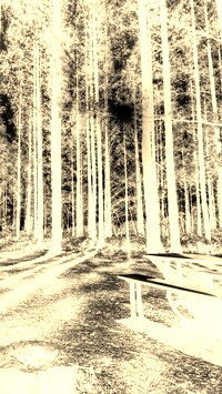 Sepia + Negatyw