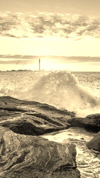 Szary + Sepia