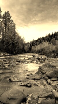 Sepia