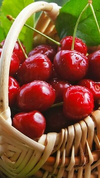 Oryginalny obrazek