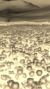 Sepia + Negatyw
