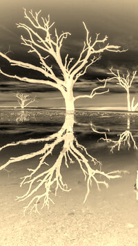 Sepia + Negatyw