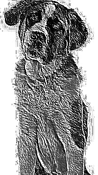 Skamielina