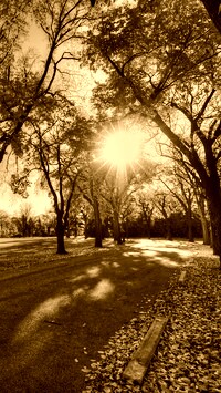 Sepia