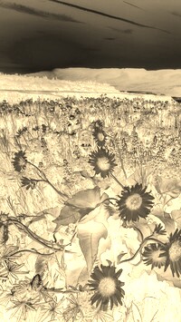 Sepia + Negatyw