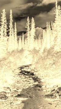 Sepia + Negatyw