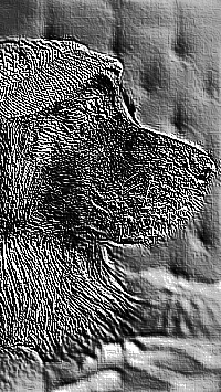 Skamielina