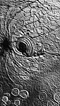 Skamielina
