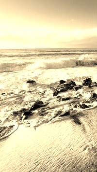 Szary + Sepia