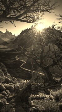 Szary + Sepia