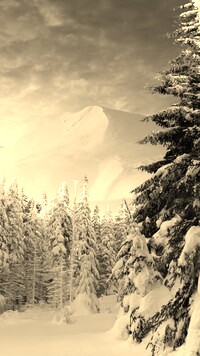 Szary + Sepia
