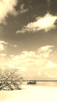 Szary + Sepia