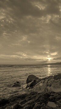 Sepia