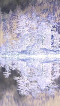 Negatyw
