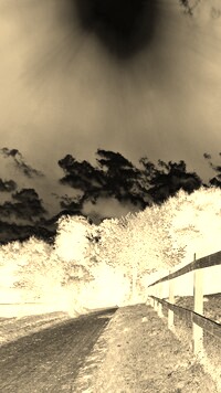 Sepia + Negatyw