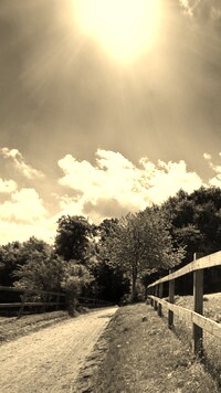 Sepia