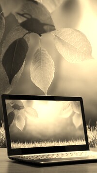Szary + Sepia