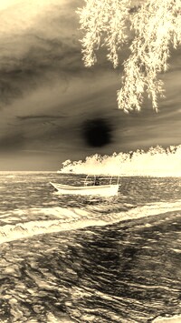 Sepia + Negatyw