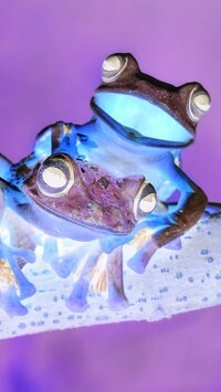 Negatyw