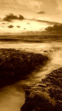 Sepia