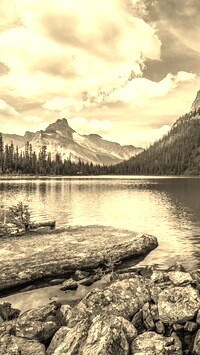 Szary + Sepia