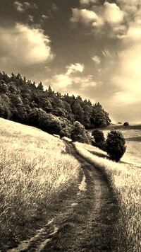 Szary + Sepia
