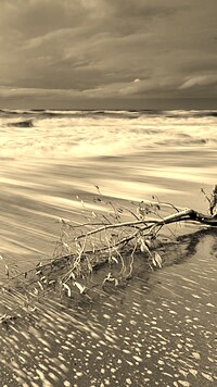 Szary + Sepia