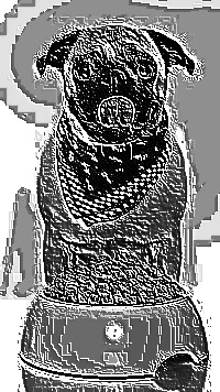 Skamielina
