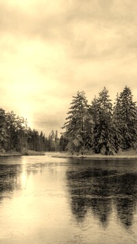 Szary + Sepia