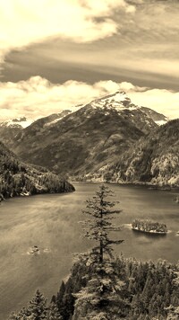 Sepia