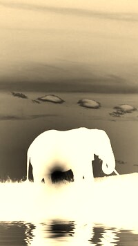 Sepia + Negatyw