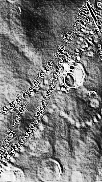 Skamielina