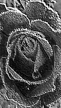 Skamielina