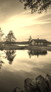 Szary + Sepia