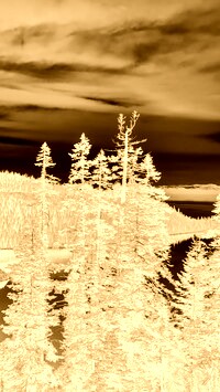 Sepia + Negatyw