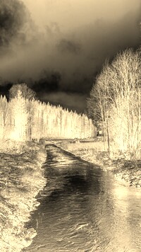 Sepia + Negatyw