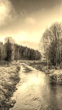 Szary + Sepia