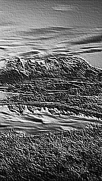 Skamielina