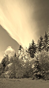 Szary + Sepia