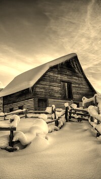 Szary + Sepia