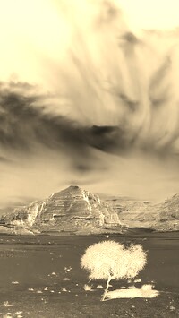Sepia + Negatyw