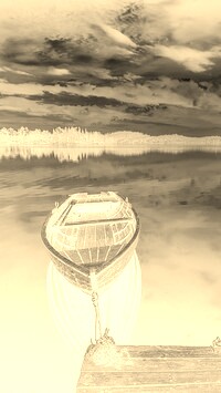 Sepia + Negatyw