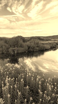 Sepia
