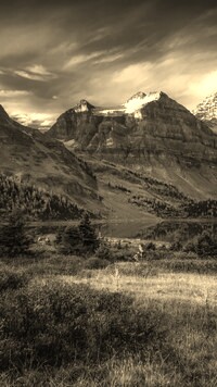 Sepia